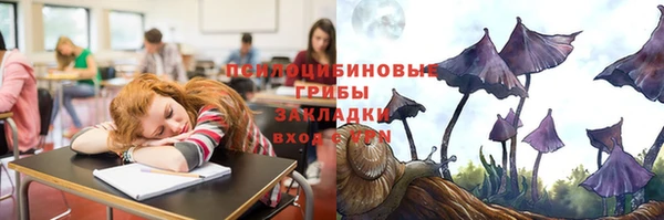 дживик Карталы