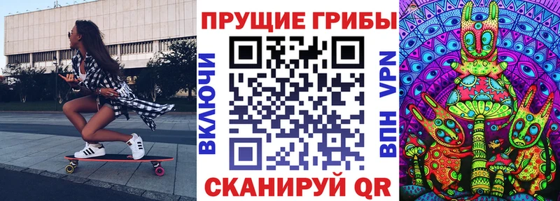 Купить закладки  Карабулак  Галлюциногенные грибы Psilocybine cubensis 